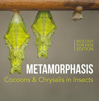 Download Metamorphasis: Cocoons & Chrysalis in Insects   Biology for Kids Edition - Baby Professor file in ePub