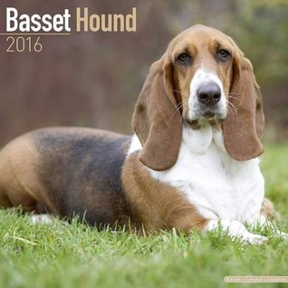 Full Download Basset Hound Calendar - Only Dog Breed Basset Hounds Calendar - 2016 Wall calendars - Hound Dog Calendars - Monthly Wall Calendar by Avonside -  | PDF