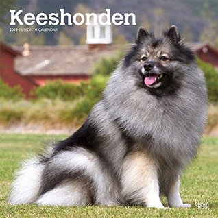 Read Online Keeshonden 2019 12 x 12 Inch Monthly Square Wall Calendar, Animals Dog Breeds -  file in ePub