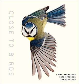 Read Online Close to Birds: An Intimate Look at Our Feathered Friends - Mats Ottosson file in ePub